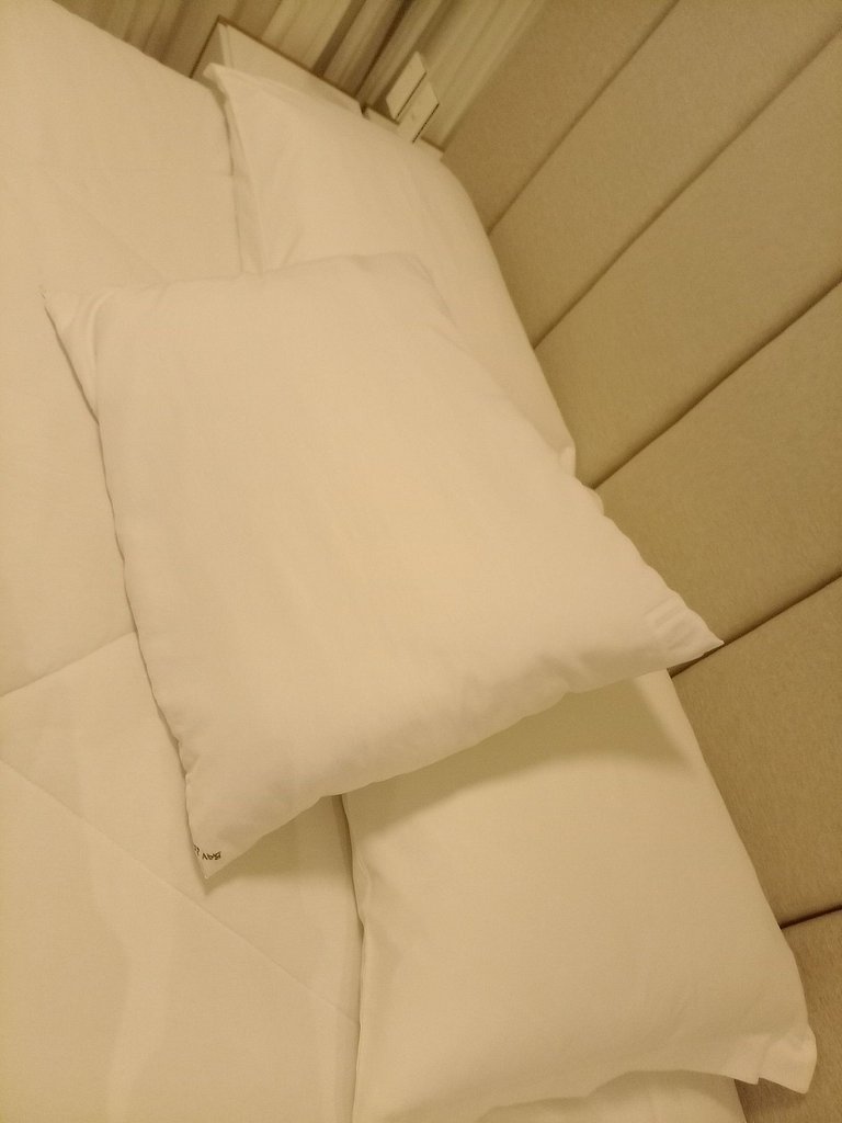 Luxo e Conforto próx ao Centro