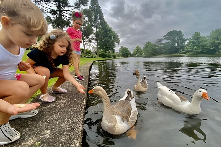 Aconchegante Flat Mountain Village Laje de Pedra