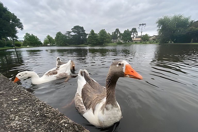 Aconchegante Flat Mountain Village Laje de Pedra
