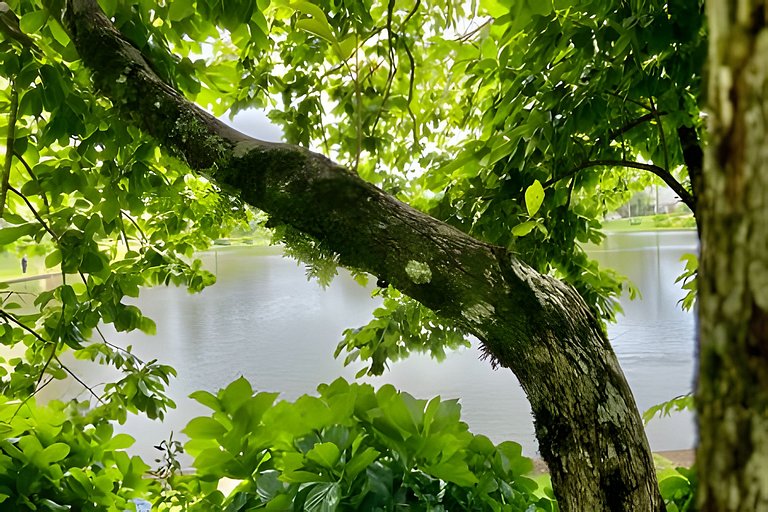 Suíte Refúgio Mountain Village Laje de Pedra