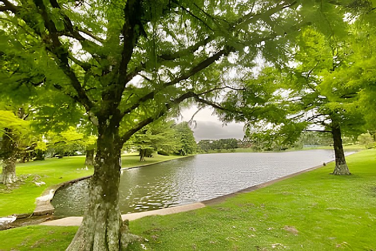 Suíte Refúgio Mountain Village Laje de Pedra