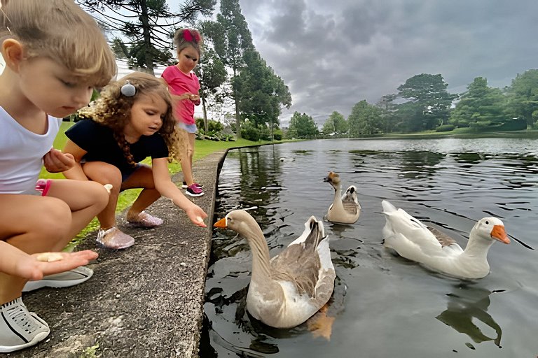 Suíte Refúgio Mountain Village Laje de Pedra