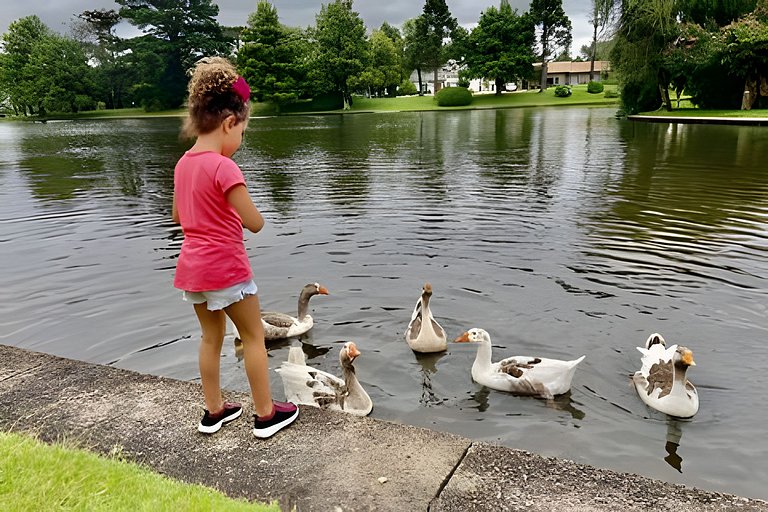 Suíte Refúgio Mountain Village Laje de Pedra