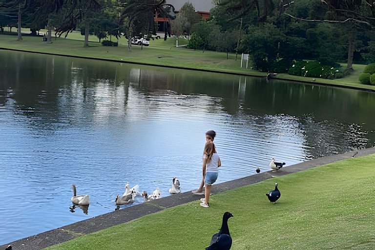 Suíte Refúgio Mountain Village Laje de Pedra
